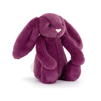 JELLYCAT | BASHFUL CHRISTMAS BUNNY-Stuffies-JELLYCAT-Coriander