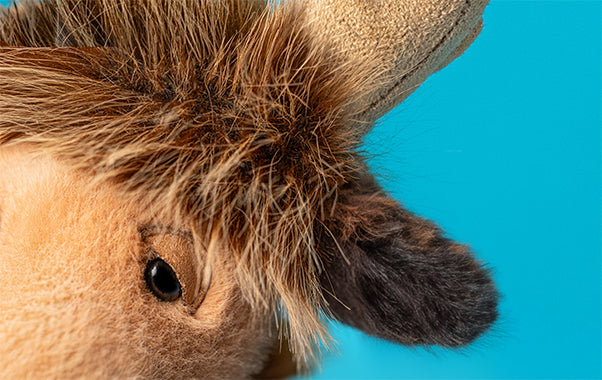 JELLYCAT | BIRCHLY MOOSE-Stuffie-JELLYCAT-Coriander