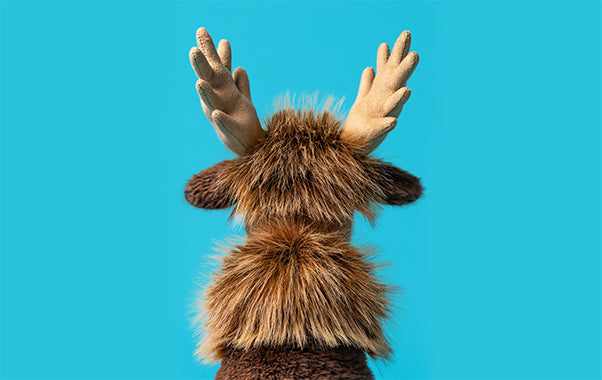 JELLYCAT | BIRCHLY MOOSE-Stuffie-JELLYCAT-Coriander