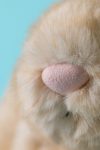JELLYCAT | FRANILLA LUXE BUNNY ORIGINAL-Stuffie-JELLYCAT-Coriander