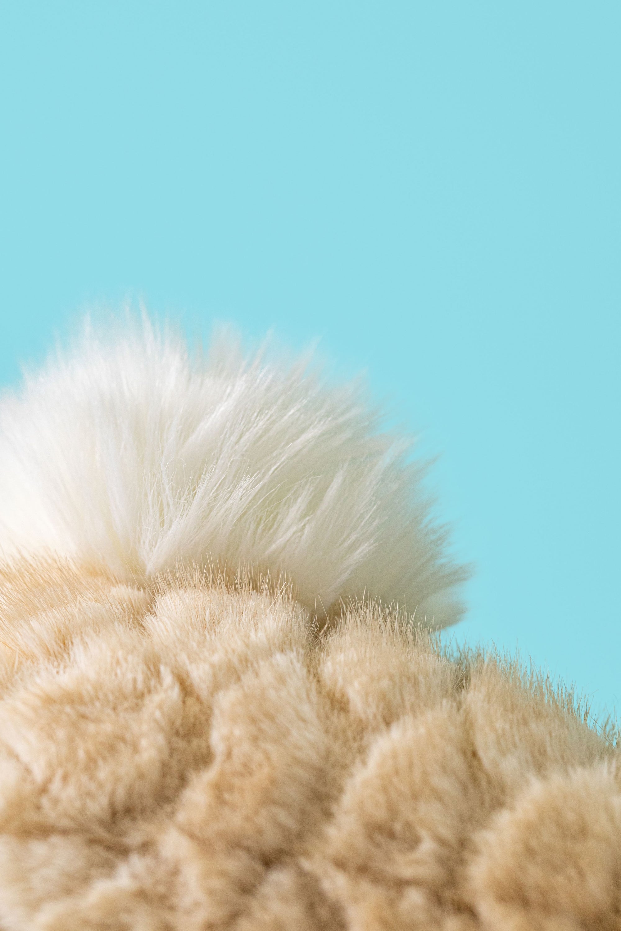 JELLYCAT | FRANILLA LUXE BUNNY ORIGINAL-Stuffie-JELLYCAT-Coriander