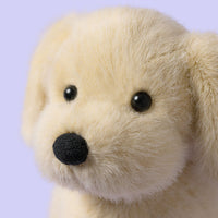 JELLYCAT | GOLDEN PUPPY-Stuffie-JELLYCAT-Coriander