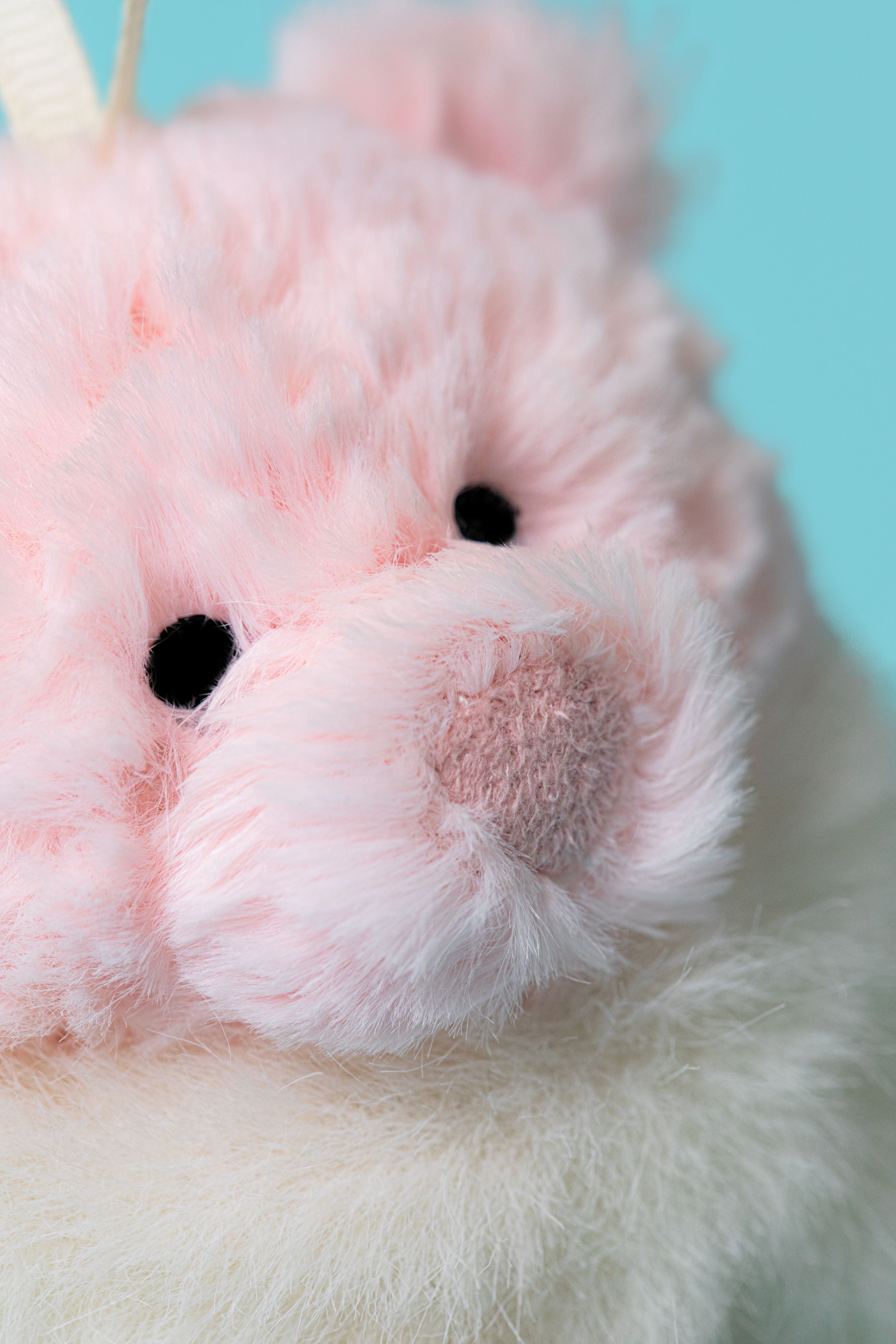 JELLYCAT | LEOLA BEAR WINTER WARMER DECORATION-Stuffie-JELLYCAT-Coriander