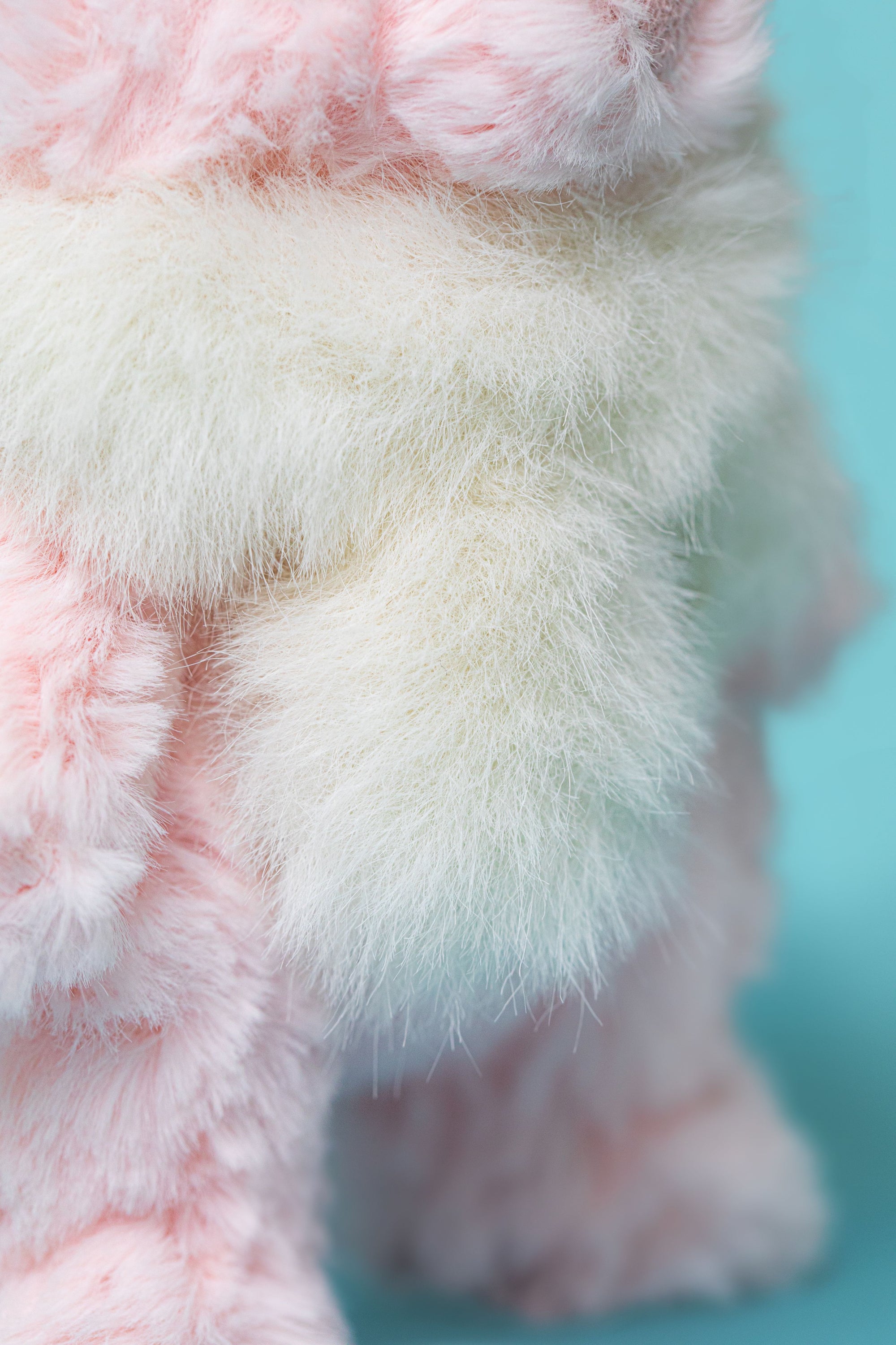 JELLYCAT | LEOLA BEAR WINTER WARMER DECORATION-Stuffie-JELLYCAT-Coriander