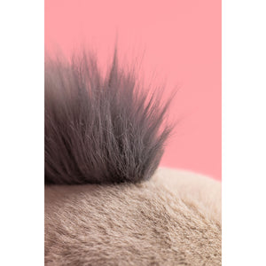 JELLYCAT | ROARWELL SEA LION-Uncategorised-JELLYCAT-Coriander