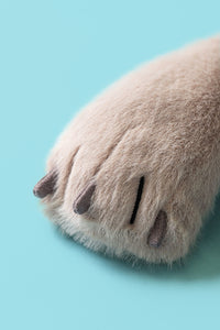 JELLYCAT | ULRICH WOLF-Stuffies-JELLYCAT-Coriander