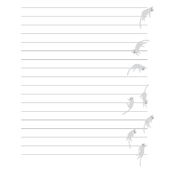 JOURNAL | CAT-FFIRMATIONS-Uncategorised-RAINCOAST-Coriander