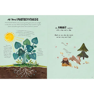 KIDS BOOK | 5-MINUTE NATURE STORIES-Books & Stationery-HACHETTE BOOK GROUP-Coriander