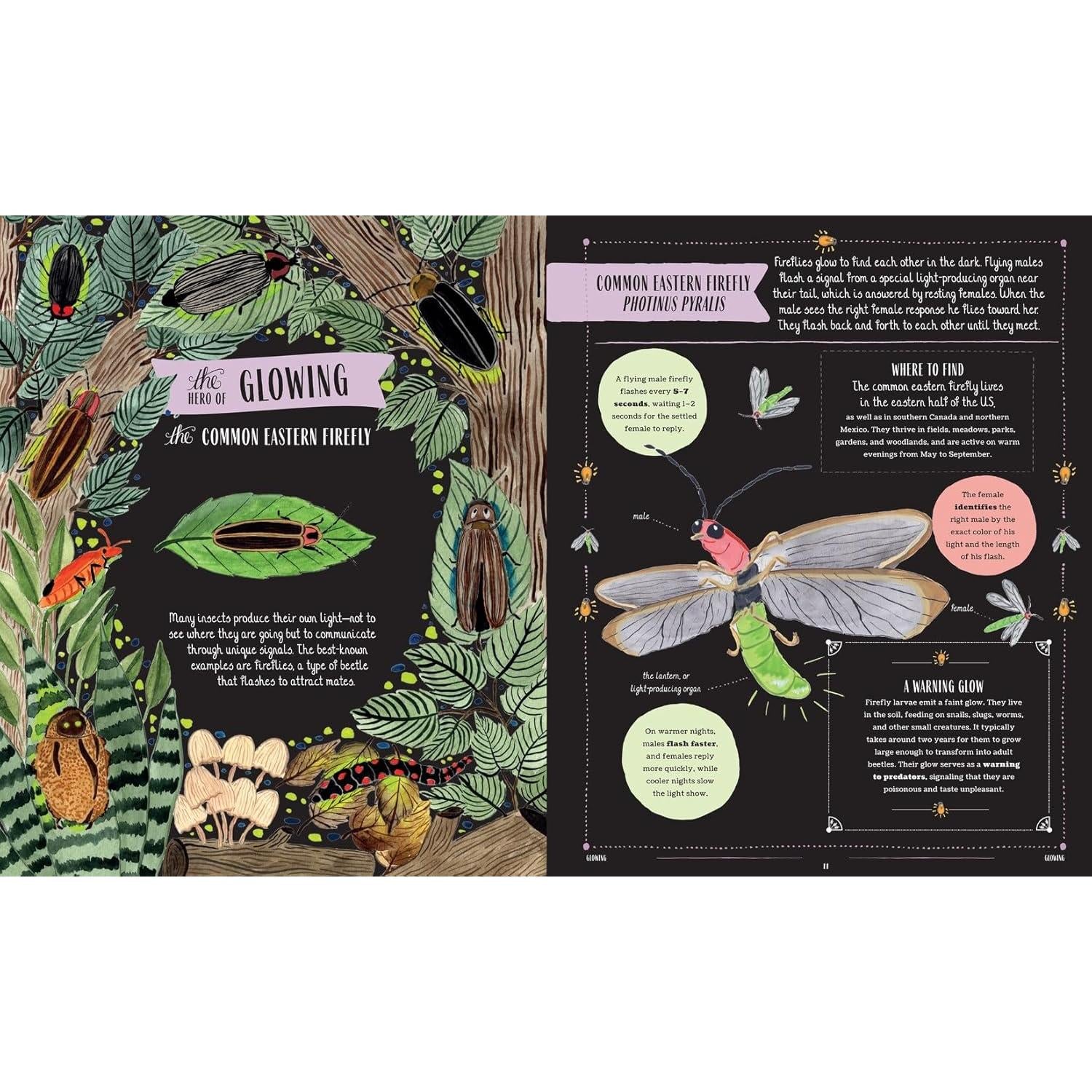 KIDS BOOK | BUZZ: A FAMILY GUIDE TO BUGS AND BEES-Books & Stationery-HACHETTE BOOK GROUP-Coriander