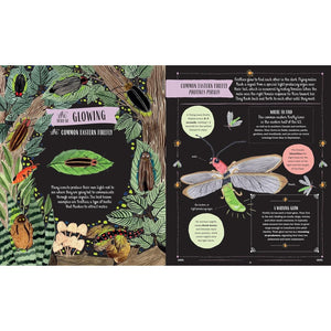 KIDS BOOK | BUZZ: A FAMILY GUIDE TO BUGS AND BEES-Books & Stationery-HACHETTE BOOK GROUP-Coriander