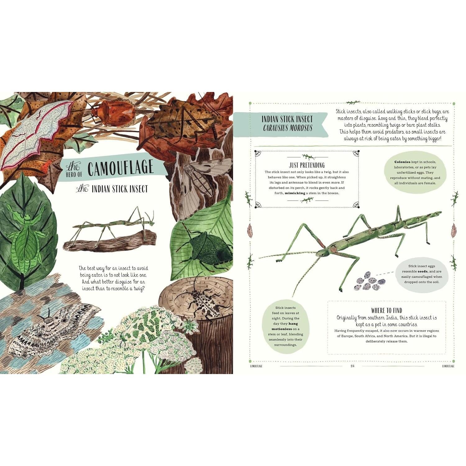 KIDS BOOK | BUZZ: A FAMILY GUIDE TO BUGS AND BEES-Books & Stationery-HACHETTE BOOK GROUP-Coriander