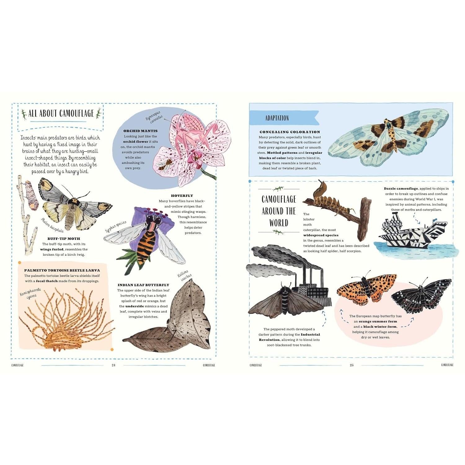 KIDS BOOK | BUZZ: A FAMILY GUIDE TO BUGS AND BEES-Books & Stationery-HACHETTE BOOK GROUP-Coriander