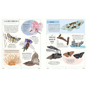 KIDS BOOK | BUZZ: A FAMILY GUIDE TO BUGS AND BEES-Books & Stationery-HACHETTE BOOK GROUP-Coriander