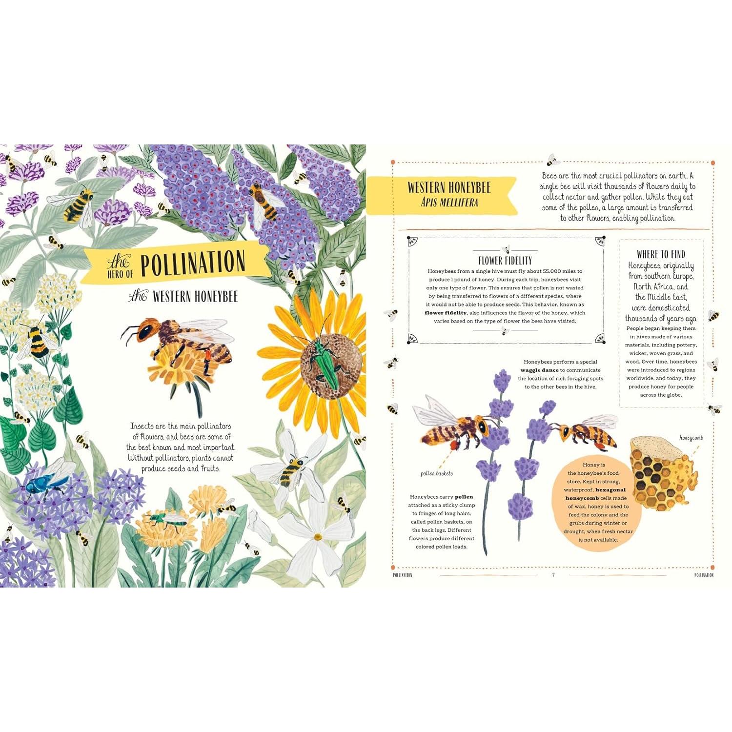KIDS BOOK | BUZZ: A FAMILY GUIDE TO BUGS AND BEES-Books & Stationery-HACHETTE BOOK GROUP-Coriander