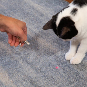 LASER POINTER CAT TOY-Pet Accessory-KIKKERLAND DESIGNS-Coriander