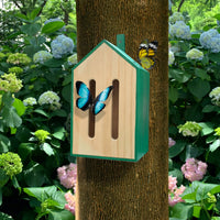 LITTLE BUTTERFLY HOUSE-Home-KIKKERLAND DESIGNS-Coriander