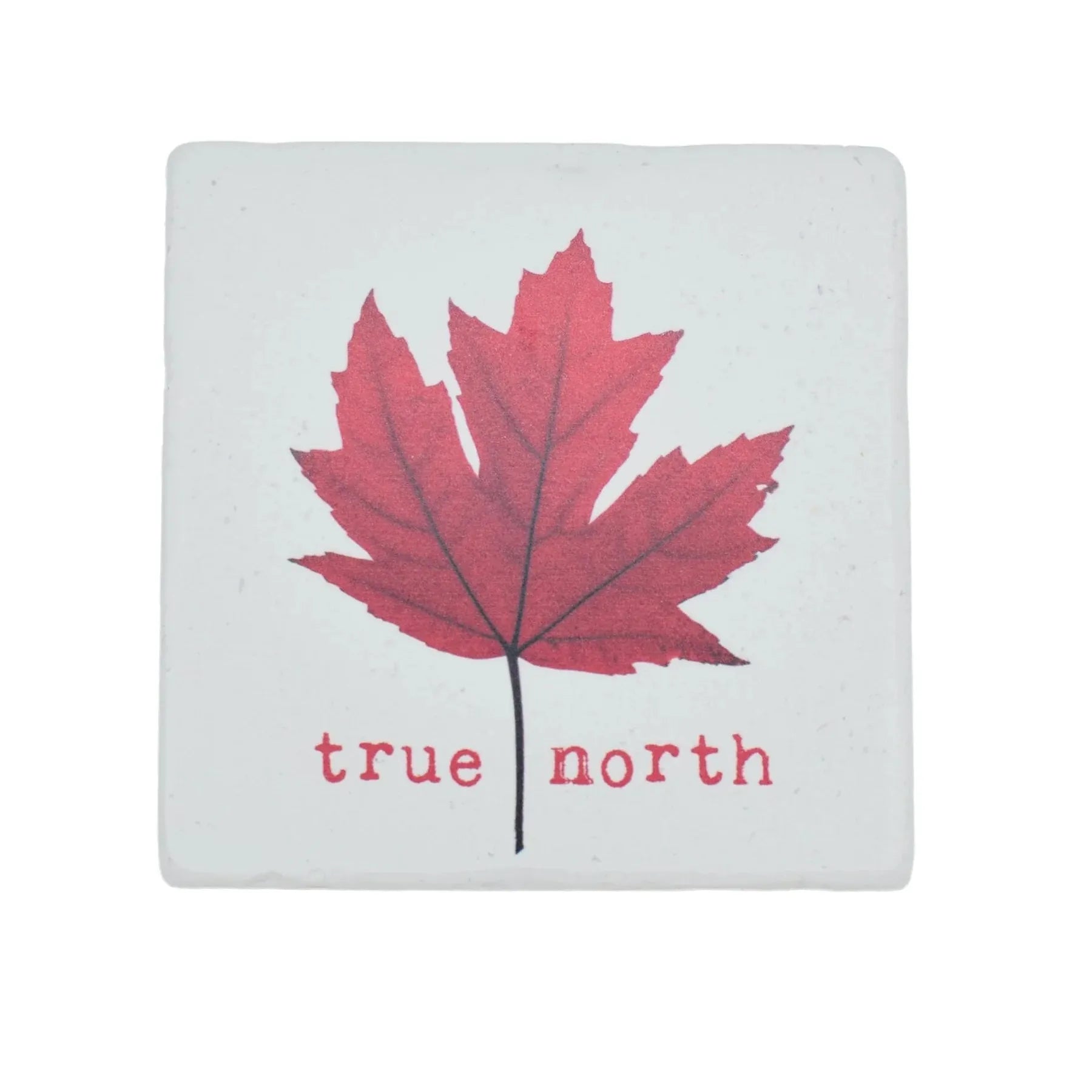 MARBLE COASTER | TRUE NORTH-Coasters-CEDAR MOUNTAIN-Coriander