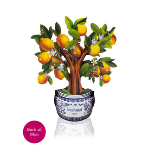 MINI LEMON TREE CARD-Books & Stationery-FRESH CUT PAPER-Coriander