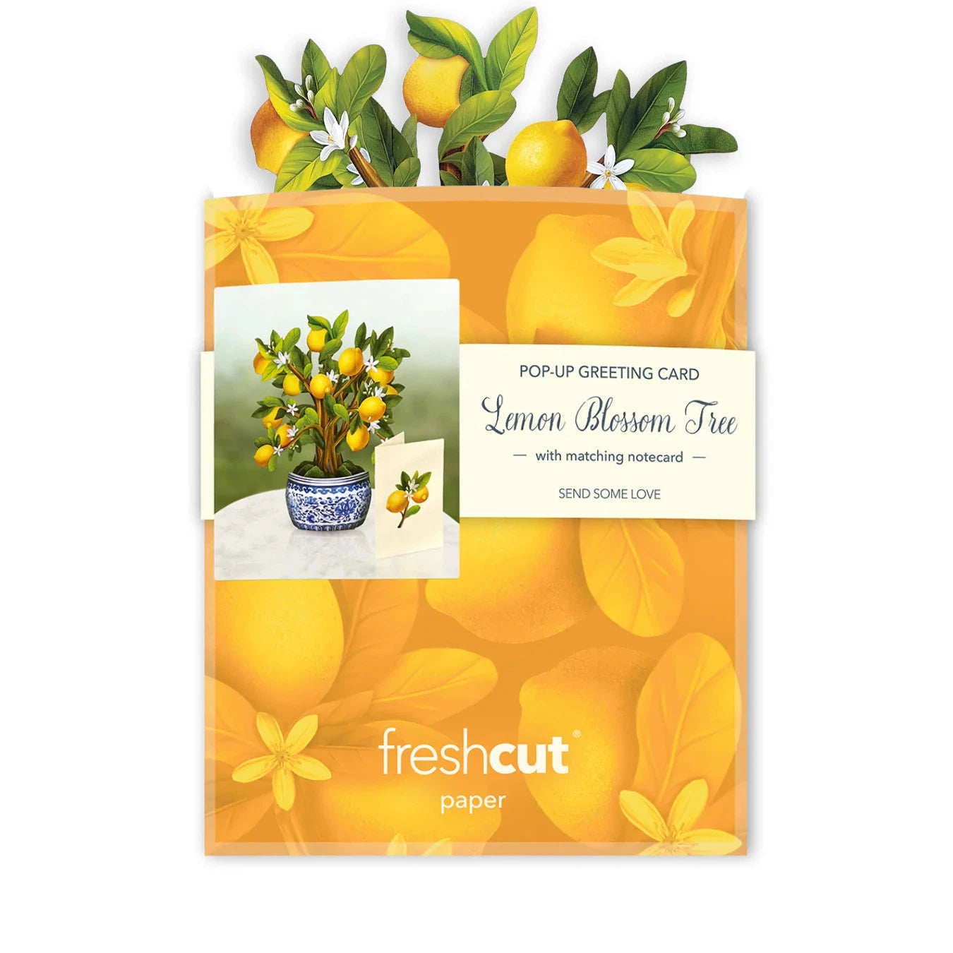 MINI LEMON TREE CARD-Books & Stationery-FRESH CUT PAPER-Coriander