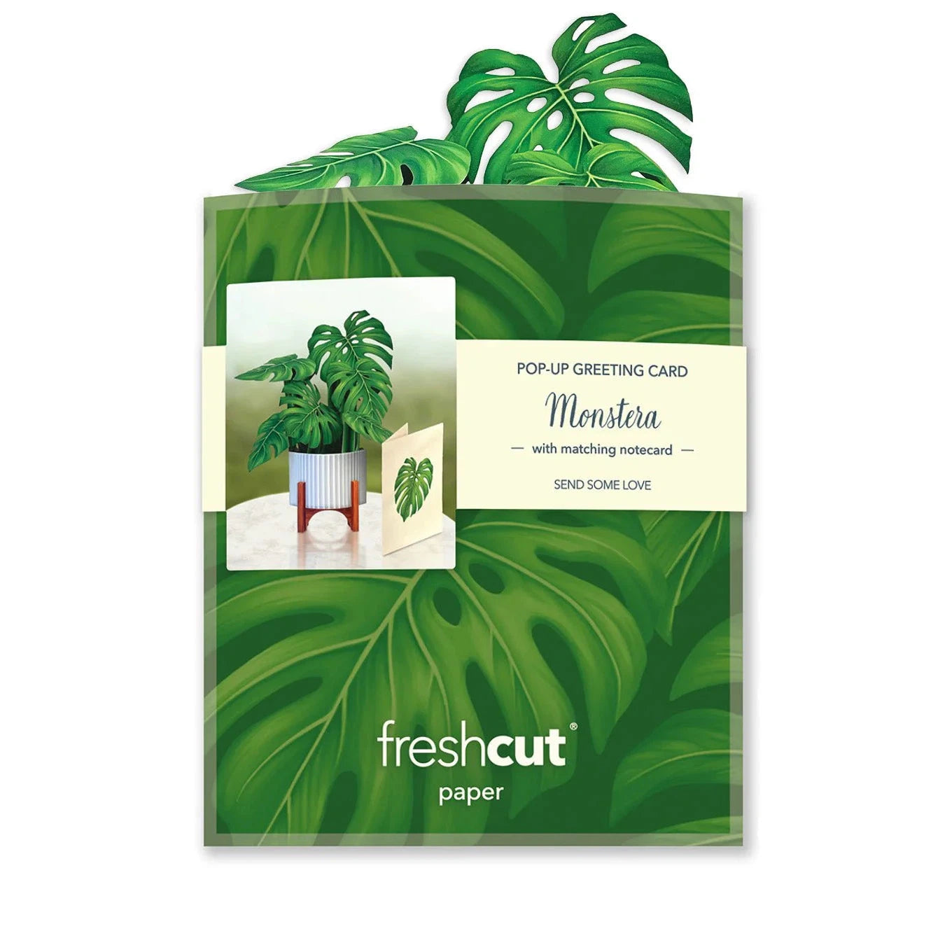 MINI MONSTERA CARD-Books & Stationery-FRESH CUT PAPER-Coriander