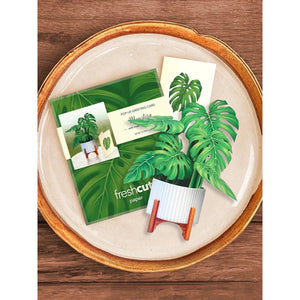 MINI MONSTERA CARD-Books & Stationery-FRESH CUT PAPER-Coriander