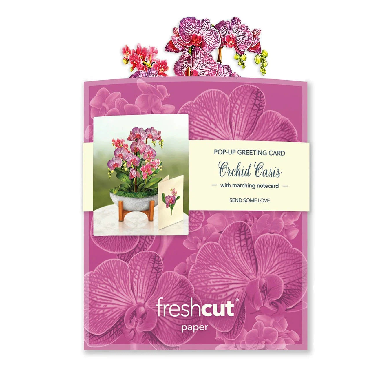 MINI ORCHID OASIS CARD-Books & Stationery-FRESH CUT PAPER-Coriander