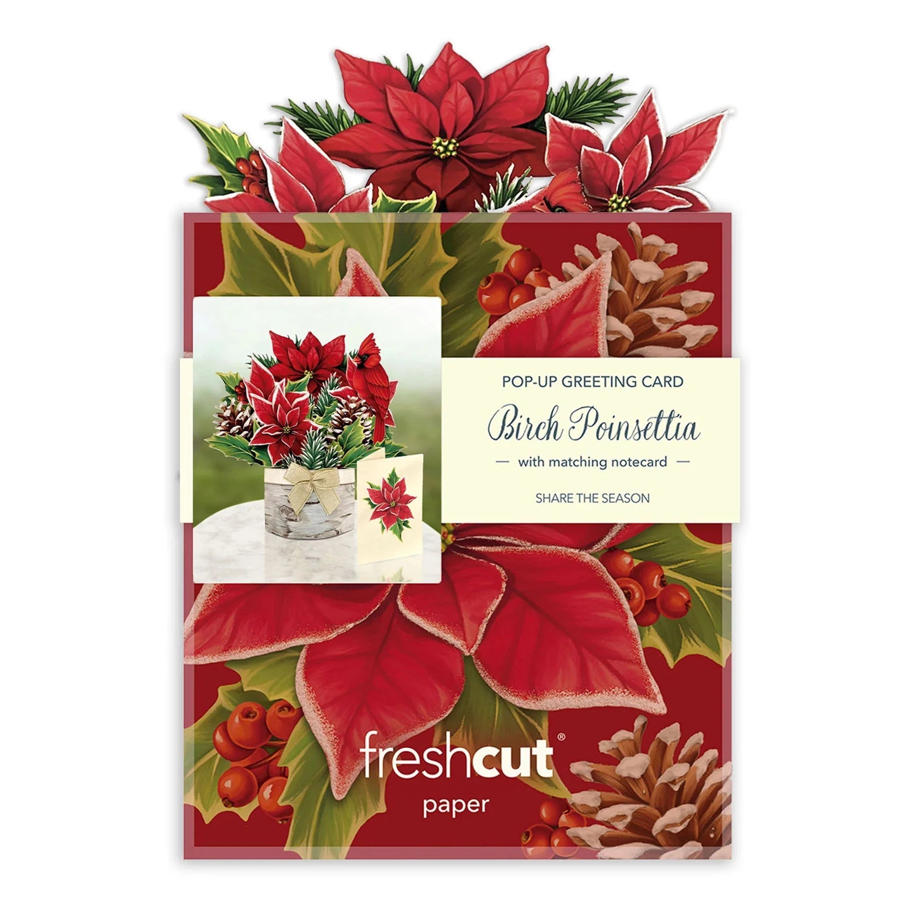 MINI POP-UP CARD | BIRCH POINSETTIA-Books & Stationery-FRESH CUT PAPER-Coriander
