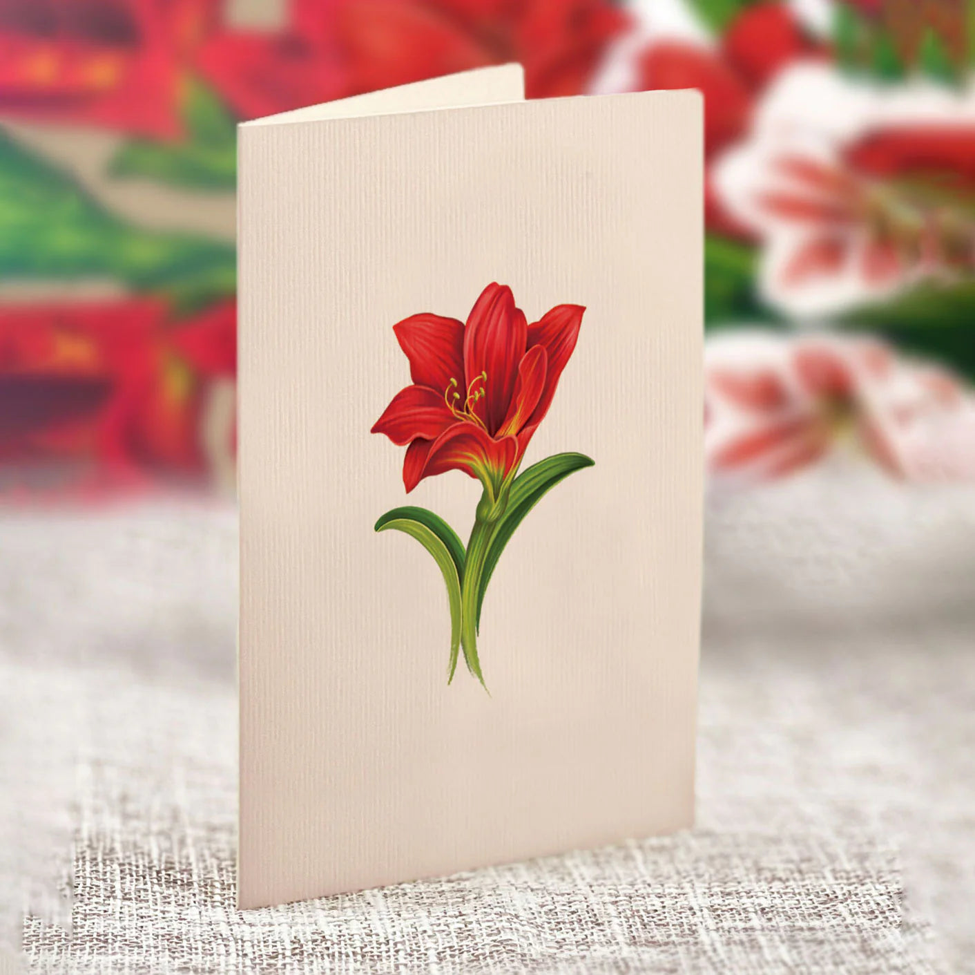 MINI POP-UP CARD | SCARLET AMARYLLIS-Books & Stationery-FRESH CUT PAPER-Coriander