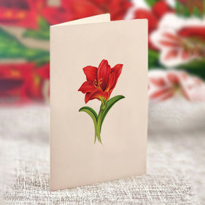 MINI POP-UP CARD | SCARLET AMARYLLIS-Books & Stationery-FRESH CUT PAPER-Coriander