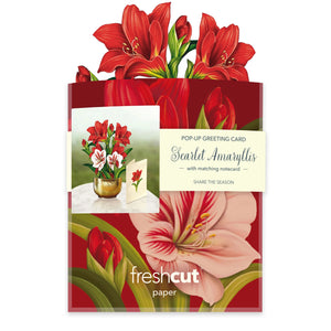 MINI POP-UP CARD | SCARLET AMARYLLIS-Books & Stationery-FRESH CUT PAPER-Coriander