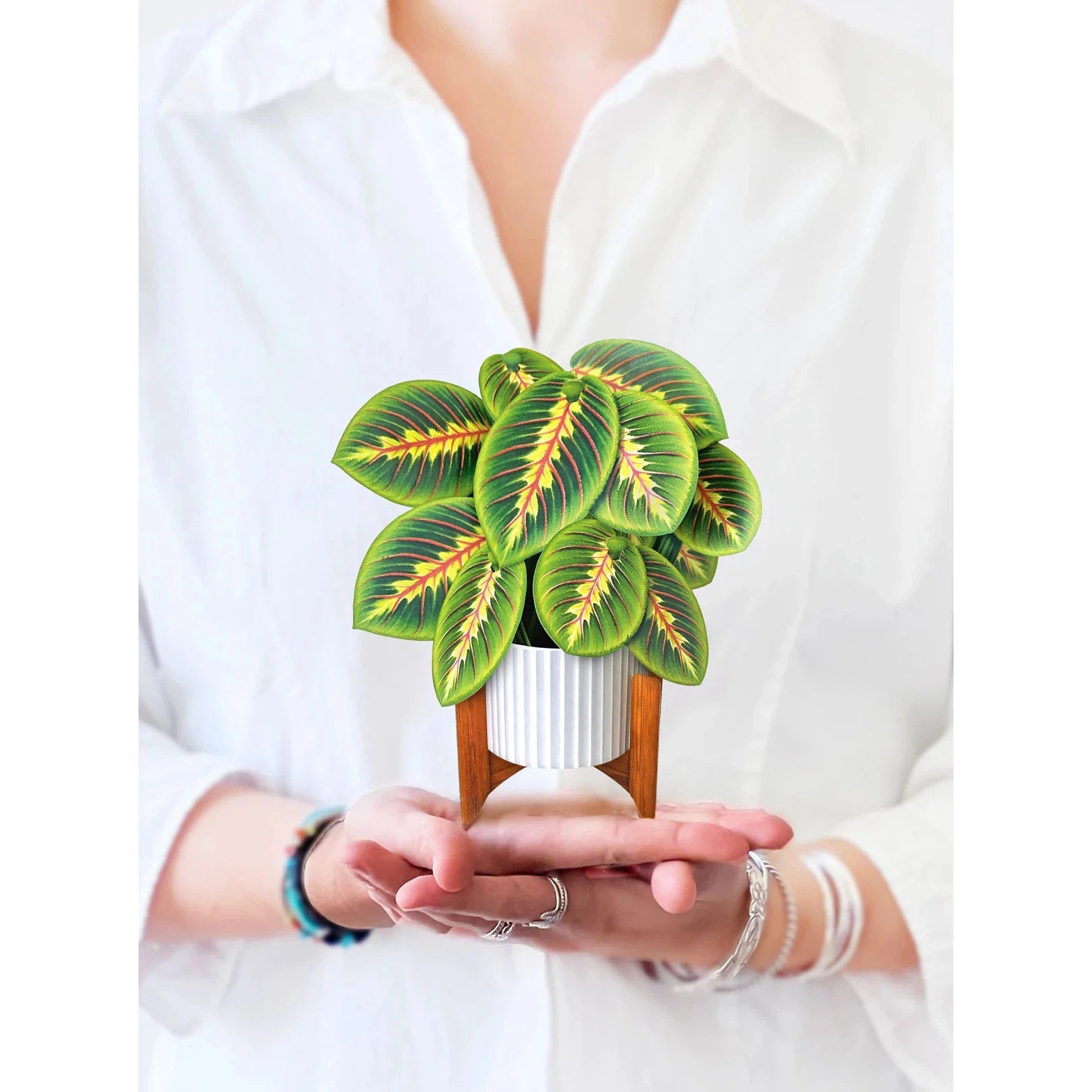 MINI PRAYER PLANT CARD-Books & Stationery-FRESH CUT PAPER-Coriander