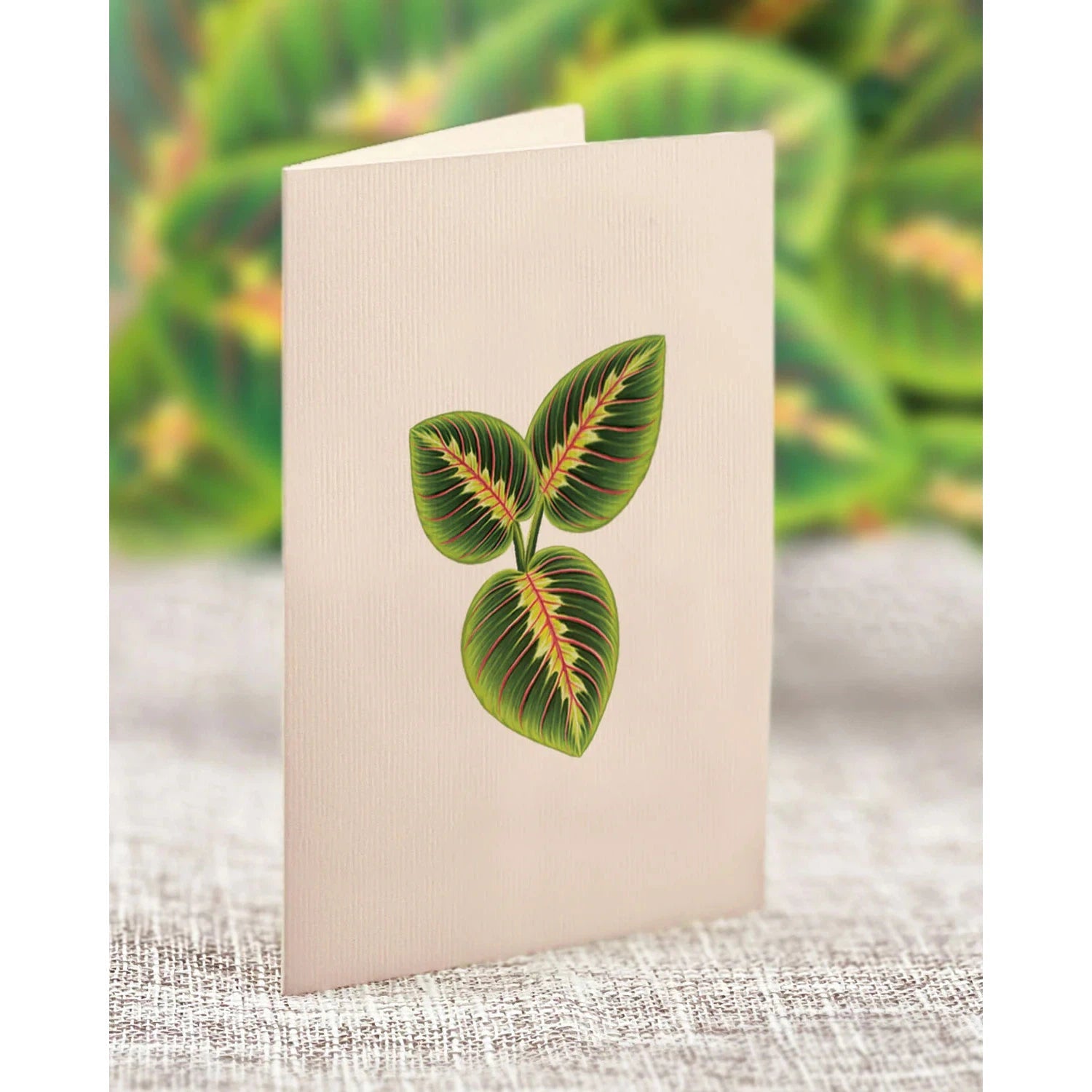 MINI PRAYER PLANT CARD-Books & Stationery-FRESH CUT PAPER-Coriander