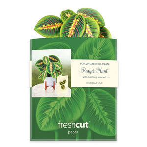 MINI PRAYER PLANT CARD-Books & Stationery-FRESH CUT PAPER-Coriander