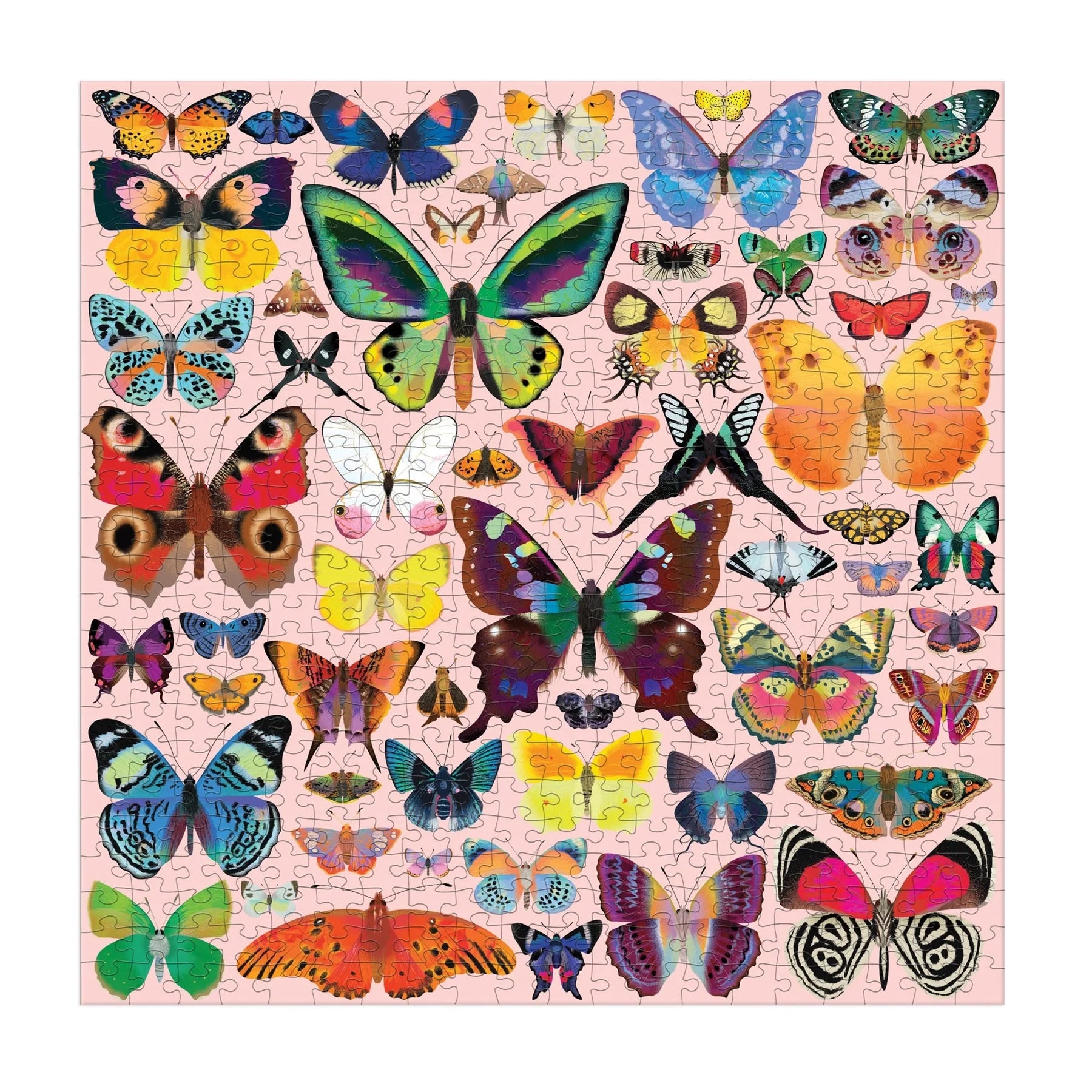 500 PIECE PUZZLE | BRILLIANT BUTTERFLIES
