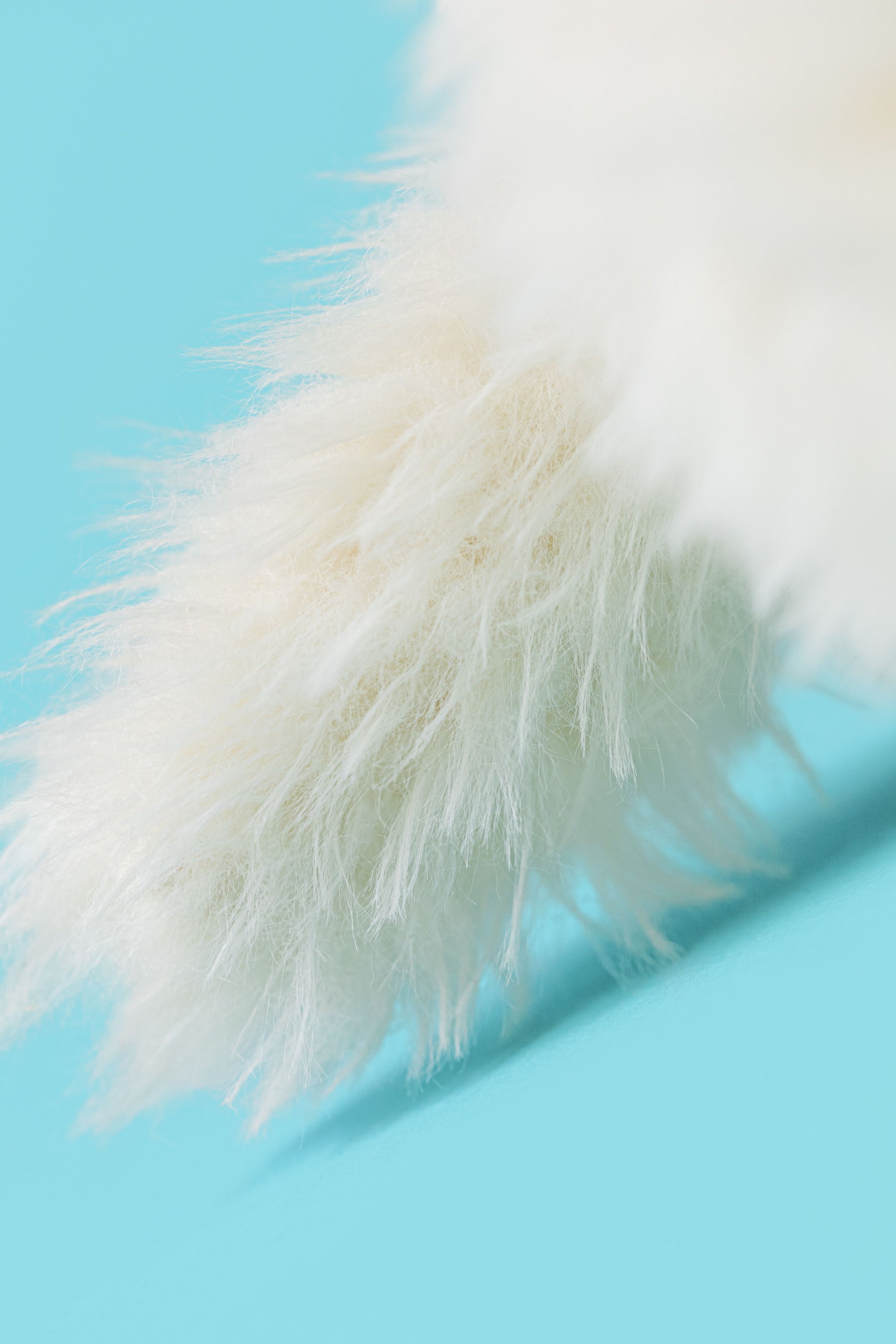 JELLYCAT | MUNRO SCOTTIE DOG 'WINTER JUMPER OUTFIT'-Uncategorised-JELLYCAT-Coriander