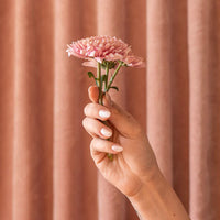 NAIL POLISH | SPEAK EASY-Lotions & Potions-BKIND-Coriander