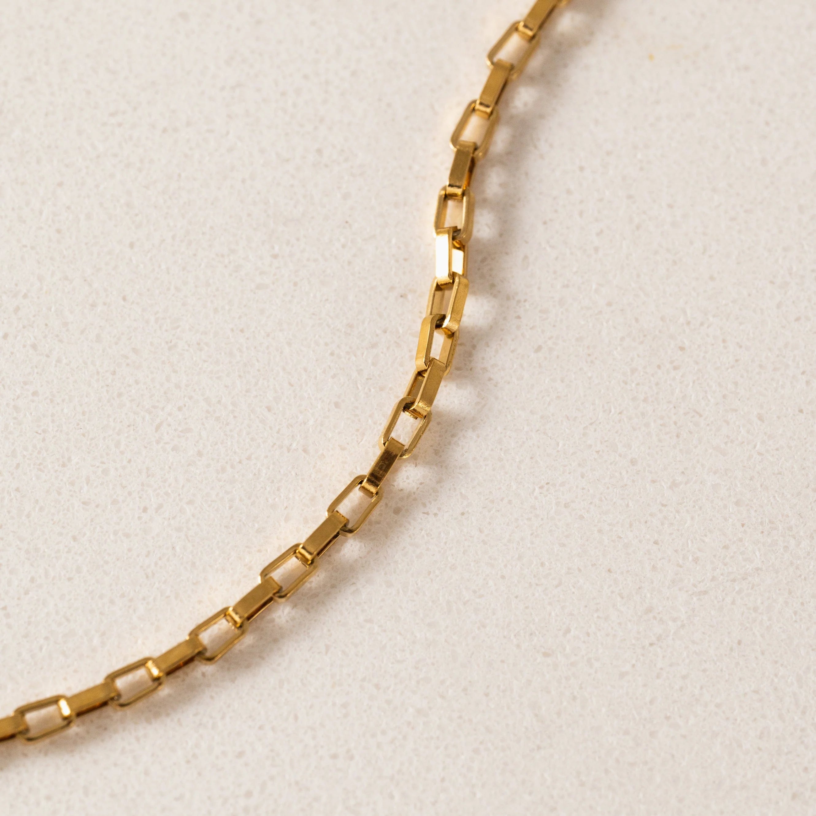 NECKLACE | SCOUT CHAIN-Jewellery-LOVER'S TEMPO-GOLD-Coriander