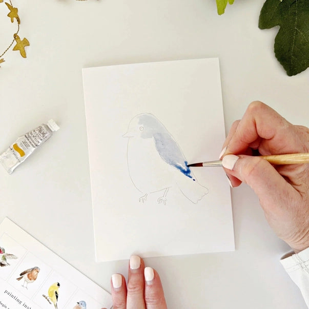 PAINTABLE WATERCOLOUR NOTECARDS | BACKYARD BIRDS