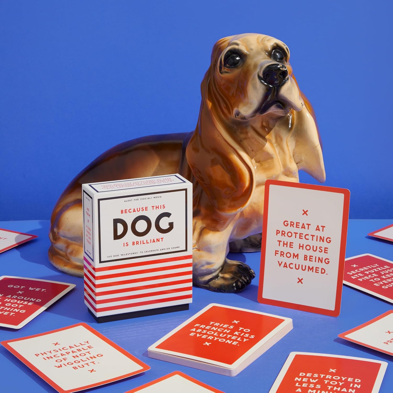 PET PRAISE/SHAME DECK | BECAUSE THIS DOG IS EMBARRASSING-Fun and Games-RAINCOAST-Coriander