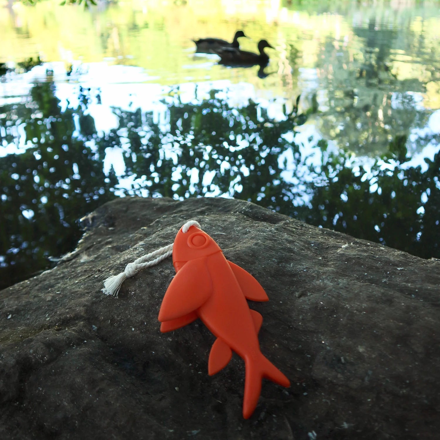 PET TOY | KOBE FLYING FISH FLOATING DOG TOY-Pet Toy-KIKKERLAND DESIGNS-Coriander