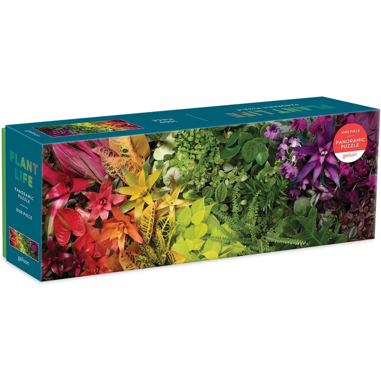 PLANT LIFE 1 000 PIECE PUZZLE-Fun and Games-RAINCOAST-Coriander