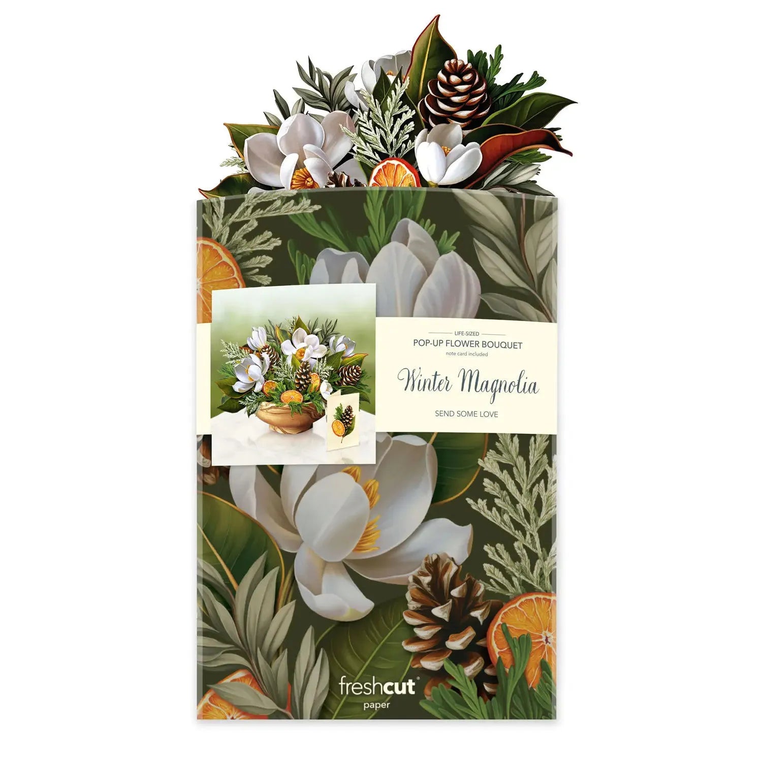 POP-UP CARD | WINTER MAGNOLIA-Books & Stationery-FRESH CUT PAPER-Coriander