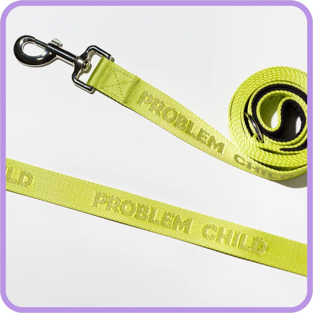 PROBLEM CHILD DOG LEASH-Pet Accessory-PRETTY ALRIGHT GOODS-Coriander