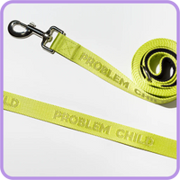 PROBLEM CHILD DOG LEASH-Pet Accessory-PRETTY ALRIGHT GOODS-Coriander