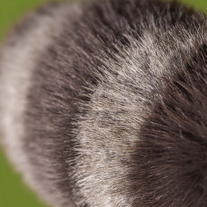 JELLYCAT | TRIXIWOO RACCOON-Stuffie-JELLYCAT-Coriander