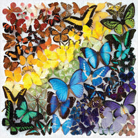 RAINBOW BUTTERFLIES 500 PIECE PUZZLE-Fun and Games-RAINCOAST-Coriander