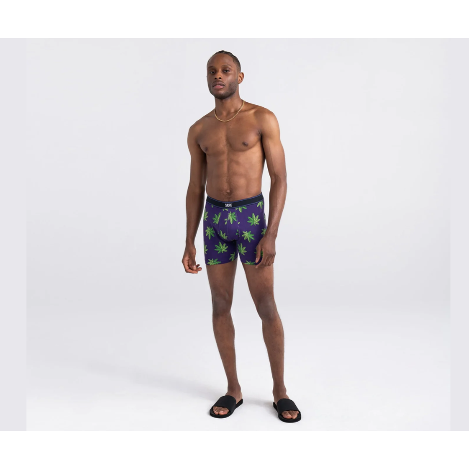 SAXX DAYTRIPPER BOXER PURPLE HAZE-Underwear-SAXX-Coriander