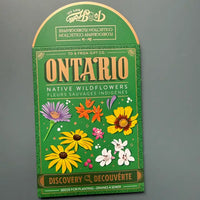 SEED PACKET | DISCOVERY: ONTARIO NATIVE WILDFLOWERS-Garden-TO & FROM GIFT CO.-Coriander