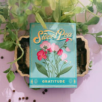 SEED PACKET | GRATITUDE: SWEET PEA-Garden-TO & FROM GIFT CO.-Coriander