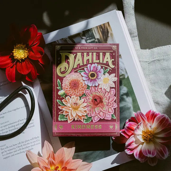 SEED PACKET | KINDNESS: DAHLIA-Garden-TO & FROM GIFT CO.-Coriander
